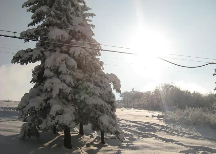 Casa Della Neve فندق