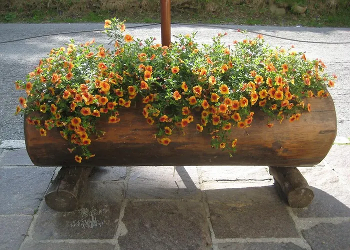 酒店 Casa Della Neve 斯特雷萨